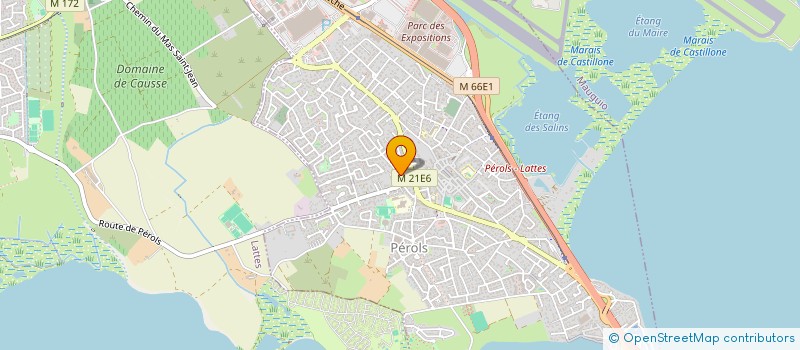 localisation de l'entreprise SMT  PEROLS