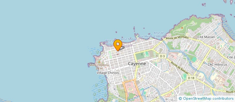 localisation de l'entreprise SNACK RESTAURANT VEVE DELICES EURL  CAYENNE