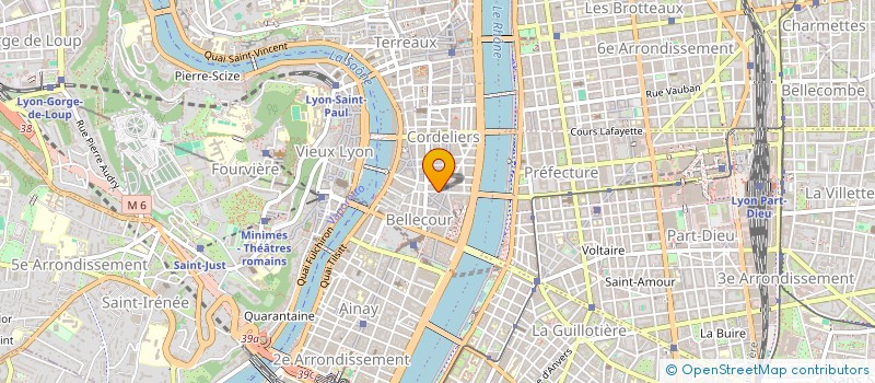 localisation de l'entreprise SNC 21 BOULEVARD DES BELGES  LYON