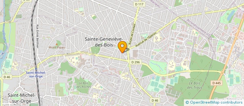 localisation de l'entreprise SNC CARGUT à SAINTE-GENEVIEVE-DES-BOIS