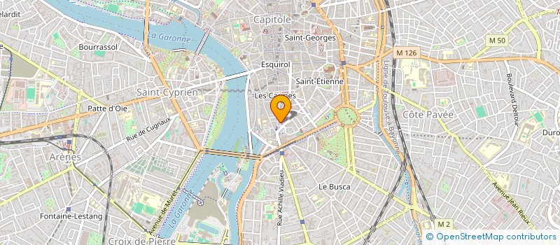 localisation de l'entreprise SNC CARMINA  TOULOUSE
