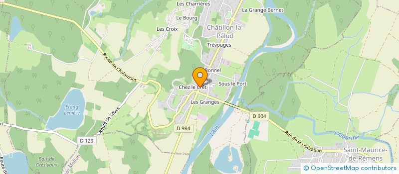 localisation de l'entreprise SNC LES FLYING PANTIES à CHATILLON-LA-PALUD