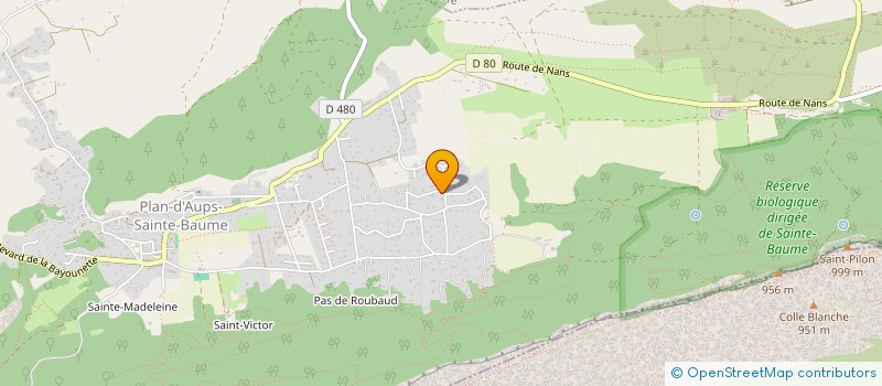 localisation de l'entreprise SNC LEULY ET CIE à PLAN D'AUPS SAINTE BAUME