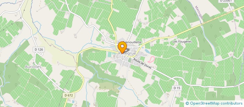 localisation de l'entreprise SNC LOUIS  PELLEGRUE