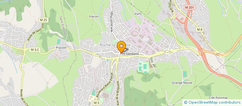 localisation de l'entreprise SNC MG à ROCHE-LA-MOLIERE
