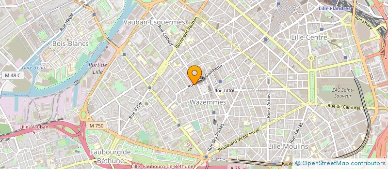 localisation de l'entreprise SNC NOUVELLE AVENTURE  LILLE