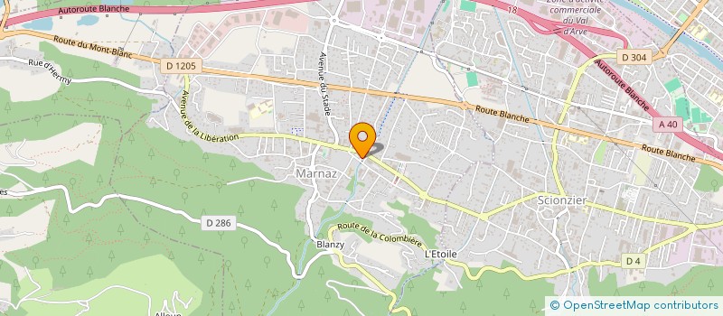 localisation de l'entreprise SNC PERNAT à MARNAZ