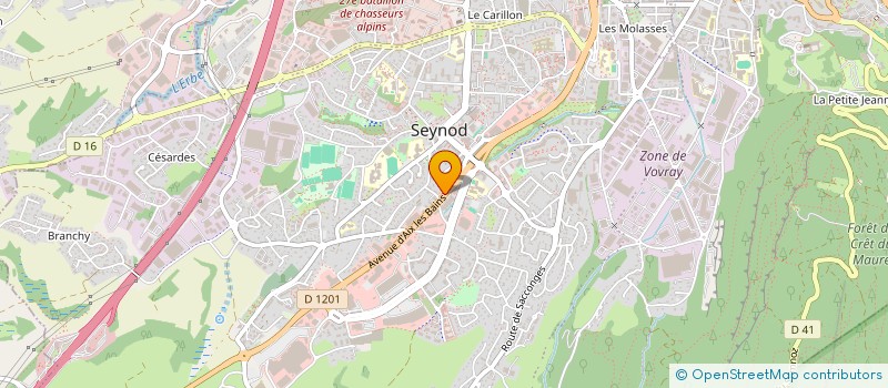 localisation de l'entreprise SNC SAINT JULIEN  ANNECY