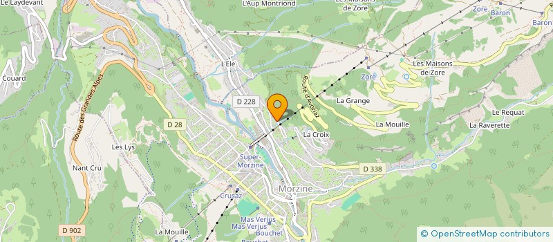 localisation de l'entreprise SNOW PALM  MORZINE