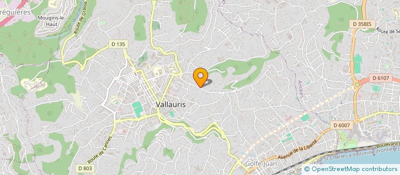 localisation de l'entreprise SO3  VALLAURIS