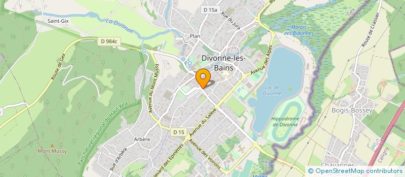 localisation de l'entreprise SOC ACTIVITES COMMERCIALES ET ARBITRAGES à DIVONNE-LES-BAINS