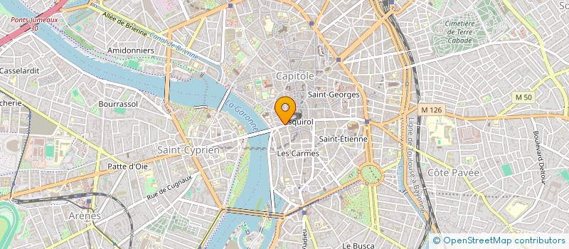 localisation de l'entreprise SOC ARCHEOLOGIQUE DU MIDI DE LA FRANCE à TOULOUSE