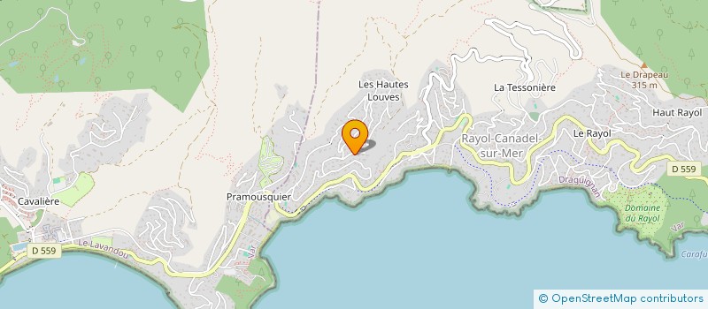 localisation de l'entreprise SOC CIVILE IMMOBILIERE L OUVEA à RAYOL-CANADEL-SUR-MER