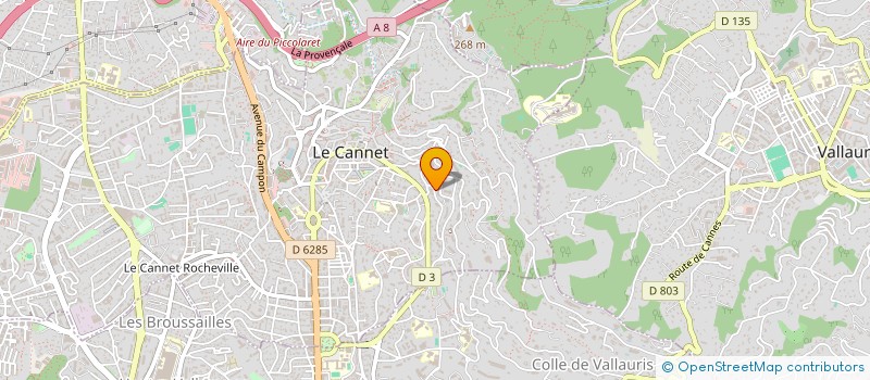localisation de l'entreprise SOC CIVILE PARTICULIERE SONOG à LE CANNET