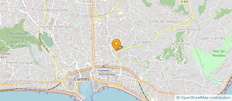 localisation de l'entreprise SOC D APPAREI ELECTRO MECA à CANNES
