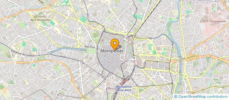 localisation de l'entreprise SOC DIST MONTPELLIE FOURNITURE FLEURISTE à MONTPELLIER