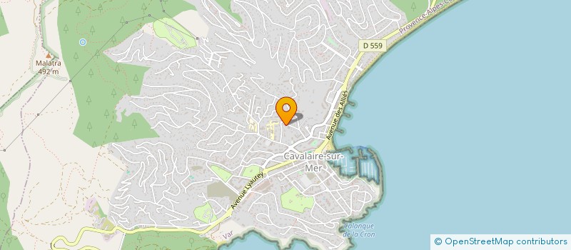 localisation de l'entreprise SOC DU DOMAINE DE LA TORTUE à CAVALAIRE-SUR-MER