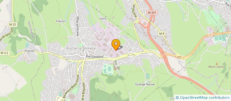 localisation de l'entreprise SOC ETUDE RECHER UTILIS MATIERES PLASTIQ à ROCHE-LA-MOLIERE