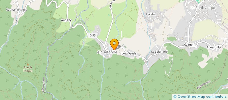 localisation de l'entreprise SOC FORESTIERE DE LA MONTAGNE NOIRE  AIGUEFONDE