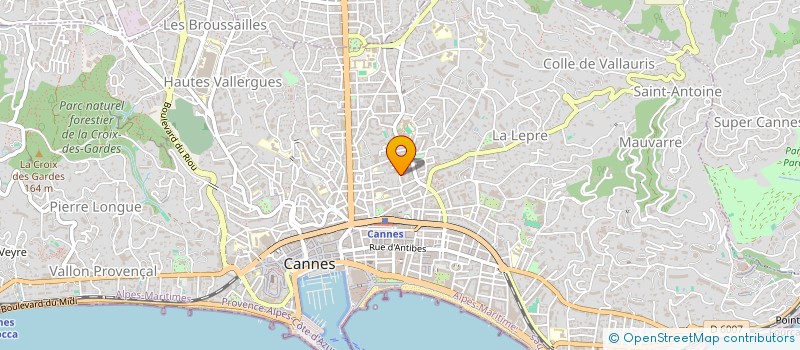 localisation de l'entreprise SOC LITTORAL FORCE LUMIERE  CANNES
