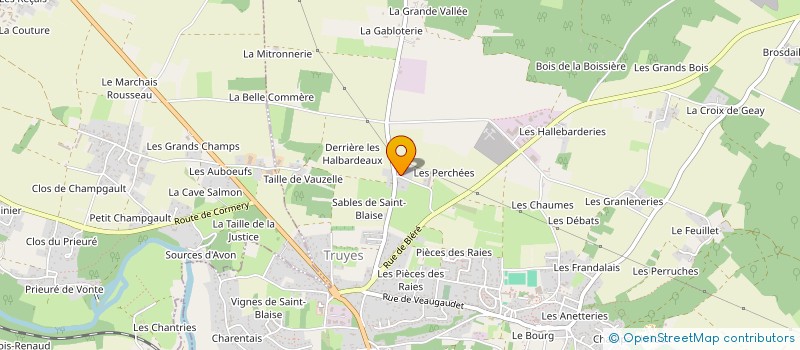 localisation de l'entreprise SOC TOURANGELLE TRANSPORT DISTRIBUTION  TRUYES