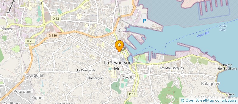 localisation de l'entreprise SOC VAROISE DISTRIBUT PRODUITS ALIMENTAI à LA SEYNE-SUR-MER