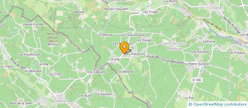 localisation de l'entreprise SOCCIETE CIVILE 12 RUE GRENETTE  SAINT-AMOUR-BELLEVUE