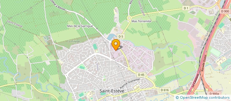 localisation de l'entreprise SOCIETE ACTI SERVICES à SAINT-ESTEVE