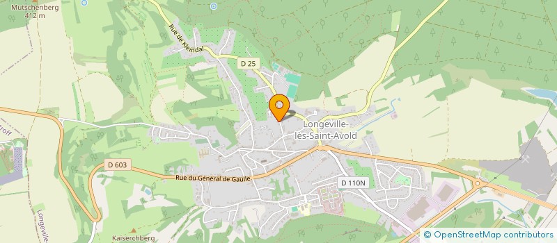 localisation de l'entreprise SOCIETE AMICALE DES SAPEURS POMPIERS DE LONGEVILLE LES ST AVOLD  LONGEVILLE-LES-SAINT-AVOLD