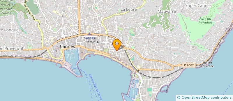 localisation de l'entreprise SOCIETE ARTISTIQUE DU SUD EST à CANNES