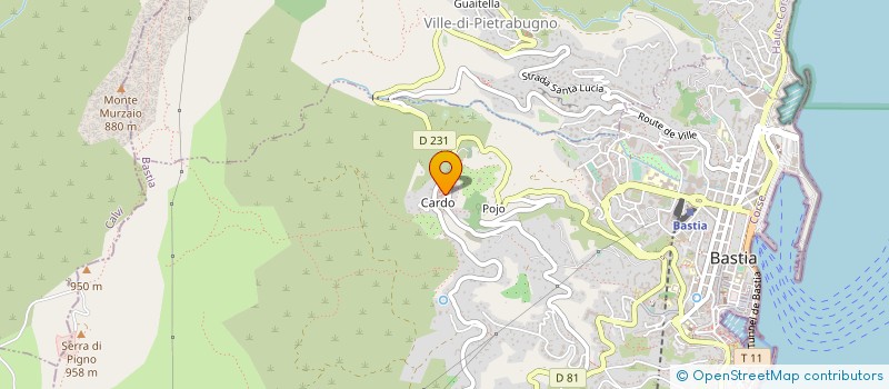 localisation de l'entreprise SOCIETE CHIORBOLI FRERES à BASTIA