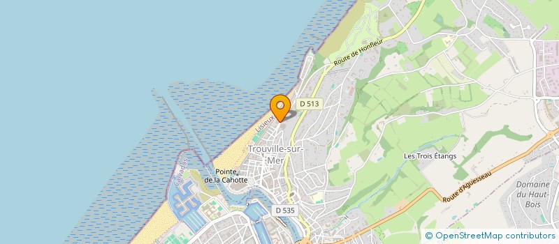 localisation de l'entreprise SOCIETE CIVILE ADRIEN à TROUVILLE-SUR-MER