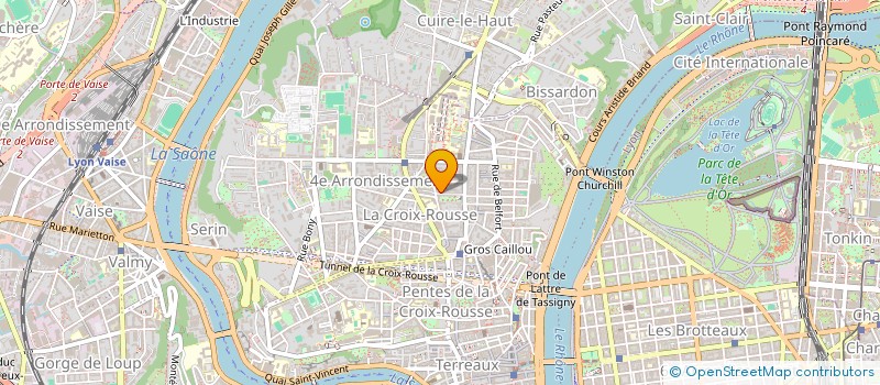 localisation de l'entreprise SOCIETE CIVILE BENEDICTUS  LYON