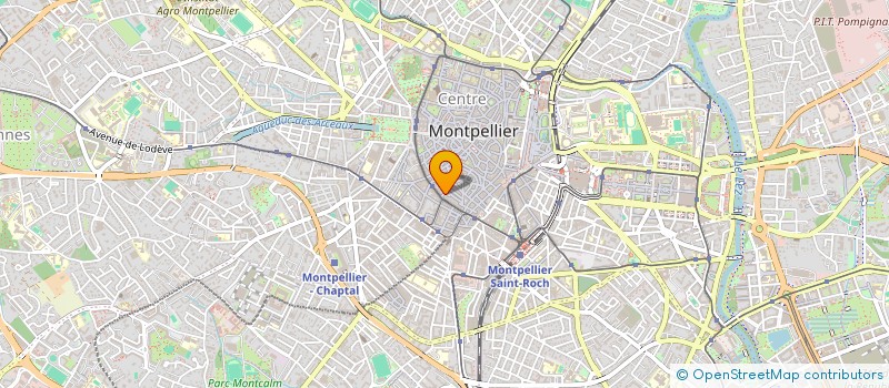 localisation de l'entreprise SOCIETE CIVILE CHAM à MONTPELLIER