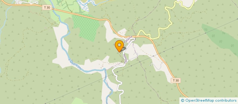 localisation de l'entreprise SOCIETE CIVILE D'EXPLOITATION AGRICOLE DE PALASCA à BELGODERE