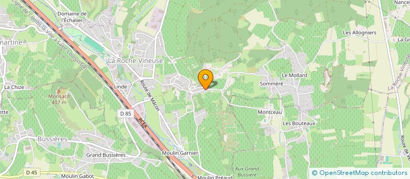 localisation de l'entreprise SOCIETE CIVILE D'EXPLOITATION VITICOLE DU DOMAINE DU VIEUX SAINT SORLIN à LA ROCHE-VINEUSE
