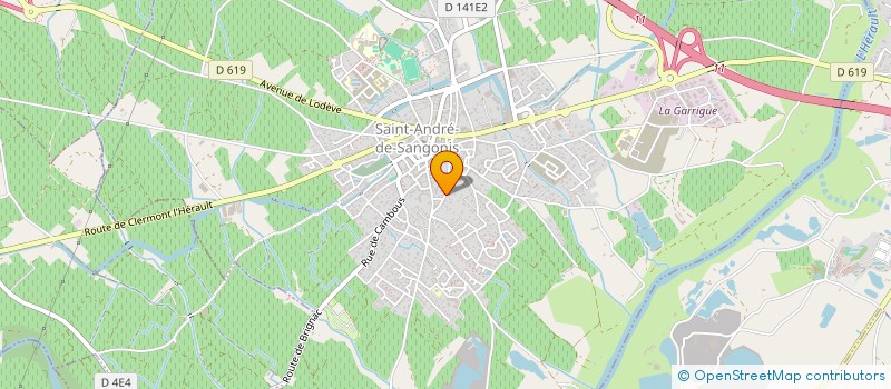 localisation de l'entreprise SOCIETE CIVILE DE MOYENS BUCAU - CARRON - ESTEBAN  SAINT-ANDRE-DE-SANGONIS