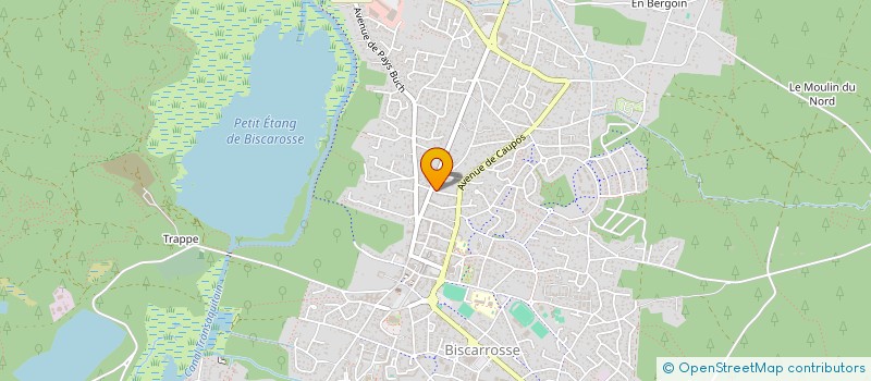 localisation de l'entreprise SOCIETE CIVILE DE MOYENS CABINET MEDICAL MARECHAL JUIN  BISCARROSSE