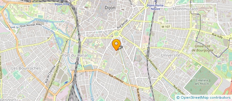 localisation de l'entreprise SOCIETE CIVILE DE MOYENS DELPIC MARTIN  DIJON