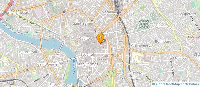 localisation de l'entreprise SOCIETE CIVILE DE MOYENS DES DOCTEURS HILLAIRE - RIAL - TENENBAUM - DELANNEE à TOULOUSE