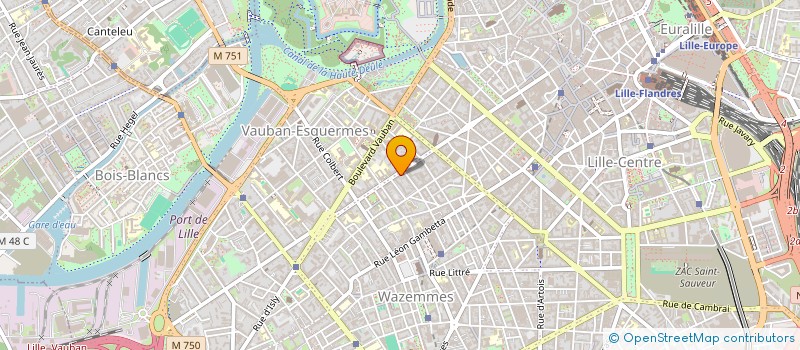 localisation de l'entreprise SOCIETE CIVILE DE MOYENS DES DOCTEURS LECOUVEZ CAPIOD ET LOMBART à LILLE