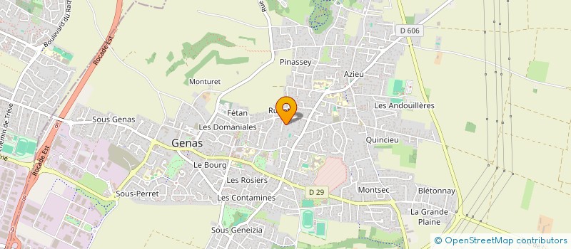 localisation de l'entreprise SOCIETE CIVILE DE MOYENS MESSNER-BOYER ET ASSOCIES à GENAS
