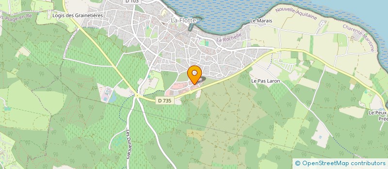 localisation de l'entreprise SOCIETE CIVILE DE MOYENS SANTE CROIX MICHAUD  LA FLOTTE