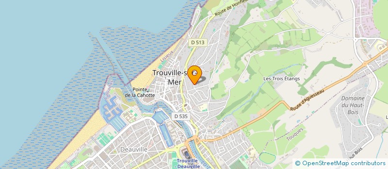 localisation de l'entreprise SOCIETE CIVILE DES TROIS CADETS à TROUVILLE-SUR-MER