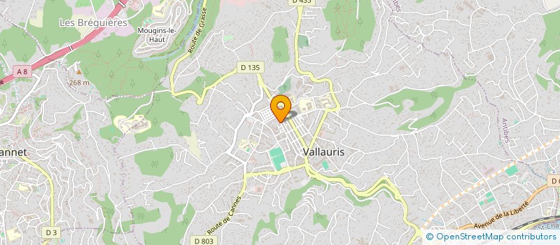 localisation de l'entreprise SOCIETE CIVILE DOUCE MARIE à VALLAURIS