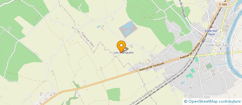 localisation de l'entreprise SOCIETE CIVILE GODFREY GODDDEN à LISLE-SUR-TARN