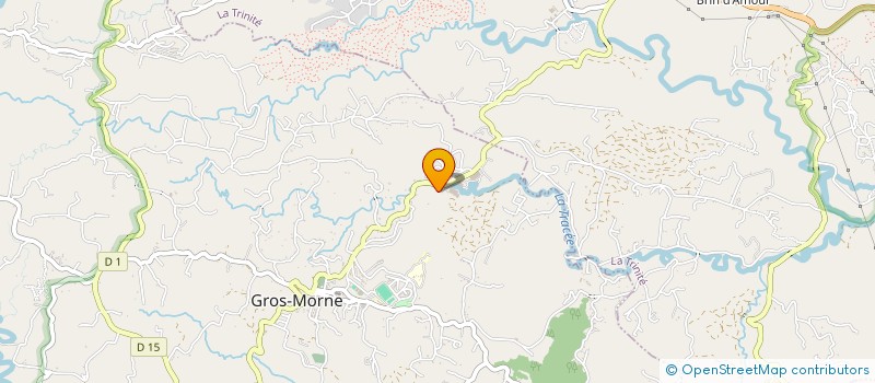 localisation de l'entreprise SOCIETE CIVILE IMMOBILIERE ARMIJA  GROS-MORNE