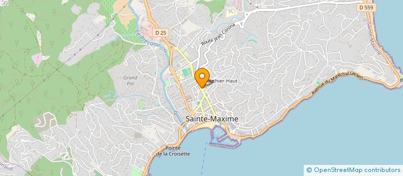 localisation de l'entreprise SOCIETE CIVILE IMMOBILIERE BOSS 2R à SAINTE-MAXIME