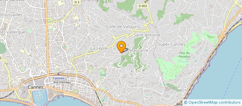 localisation de l'entreprise SOCIETE CIVILE IMMOBILIERE ERIPAT à CANNES