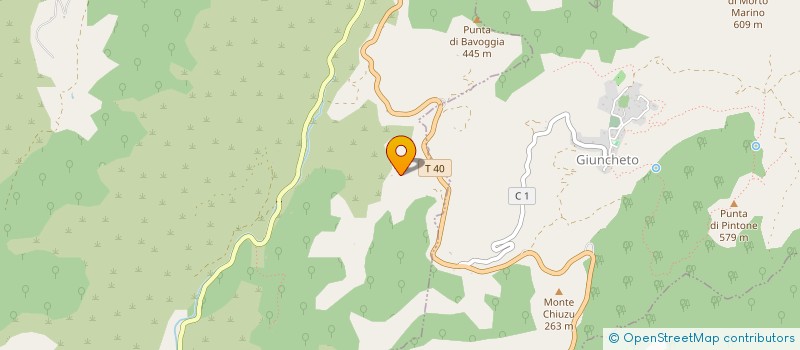 localisation de l'entreprise SOCIETE CIVILE IMMOBILIERE FLM à GIUNCHETO